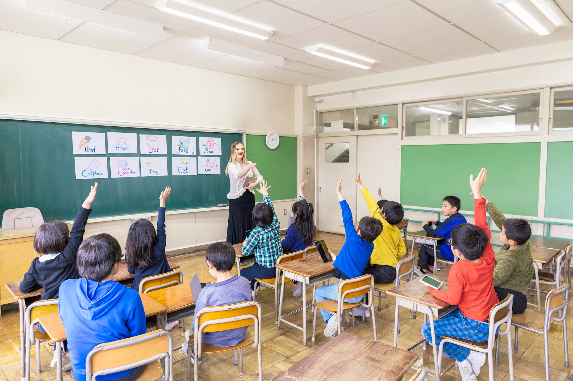 4技能対応 小学5年生 6年生コース Hatchlink Jr